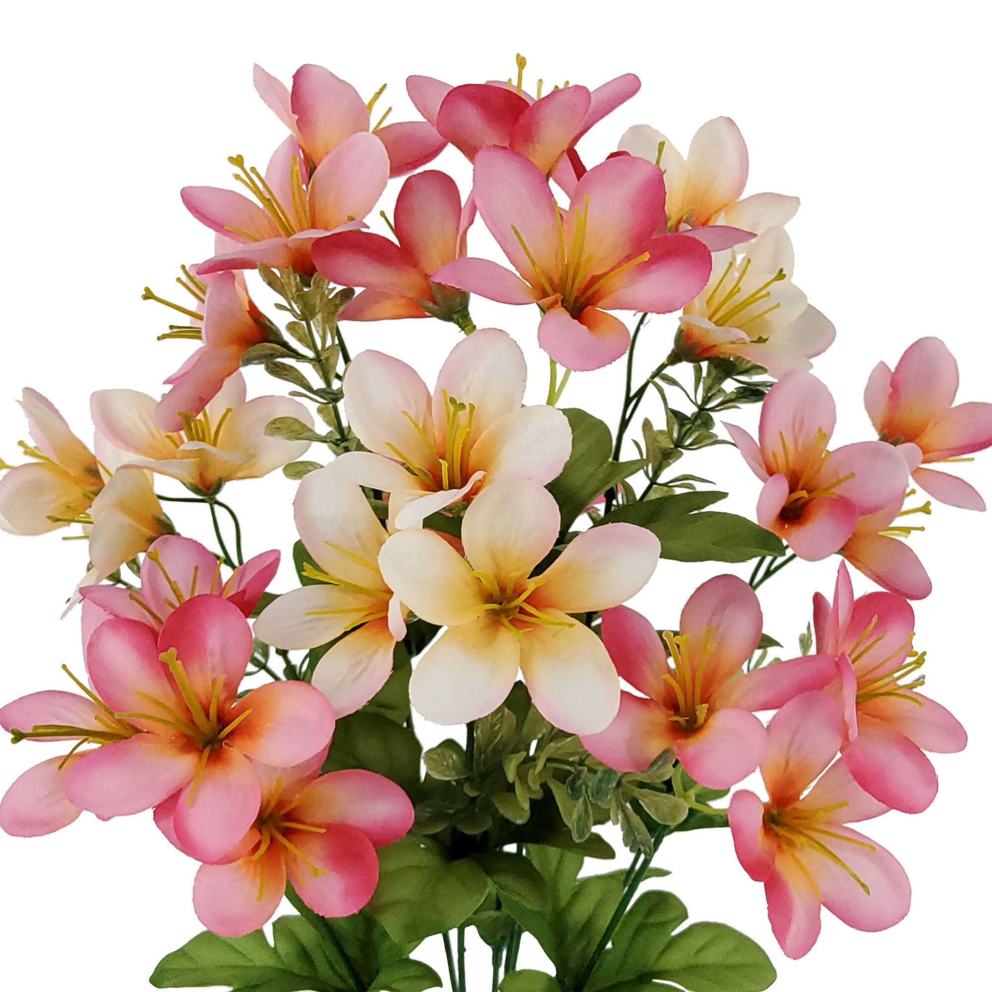 18" Pink & White Plumeria Bush by Ashland®